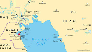 Persijos įlankos &scaron;alys / Alamy