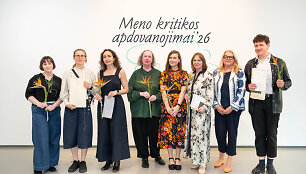 Meno kritikos apdovanojimai