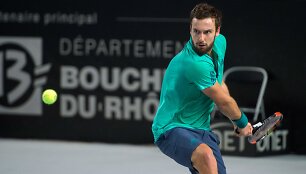 Ernests Gulbis
