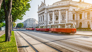 1. Viena