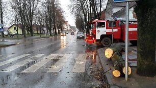 Vėjo gūsiai &Scaron;ilutėje vartė medžius