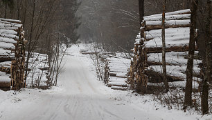 Santariškių gatvė