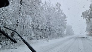 Pirmadienį Radviliškio rajone buvo tikra žiema