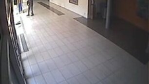 Paveikslą terliojantį vandalą užfiksavo vaizdo kameros