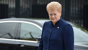 Dalia Grybauskaitė NATO vadovų susitikime