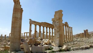 Palmyra