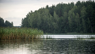 Prie Antalieptės marių