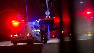 Vilniuje policijos pajėgų ie&scaron;koma dingusios mergaitės