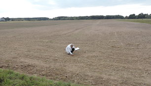 Lokaliai iškritęs stiprus lietus sudarė plutą, pro kurią gležni rapsų daigai neprasikalė