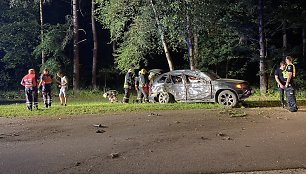 Vilniuje prie Vingio parko BMW atsitrenkė į medį