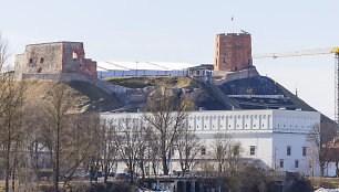 Gedimino kalno tvarkybos eiga