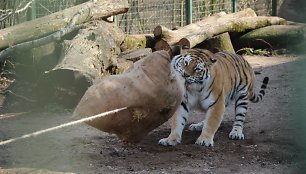 Zoologijos sodas prašo lankytojų paaukoti jiems nebereikalingų daiktų