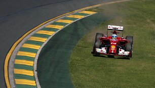 Fernando Alonso 