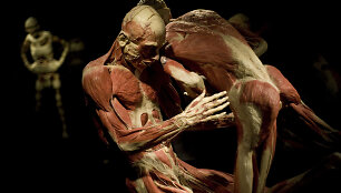 Plastifikuoti žmonių kūnai parodoje &bdquo;Body Worlds&ldquo;