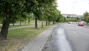 A.Go&scaron;tauto gatvė