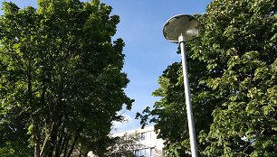 Klaipėdos daugiabučių kiemuose taps &scaron;viesiau