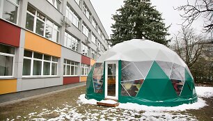 Lauko klasė