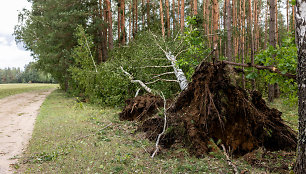 Išskirtiniame Grabijolų kaime ledai kaip kumštis daužė langus ir stogus