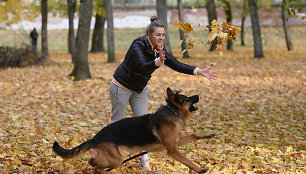 Sapiegų rūmų parkas 