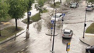 Liūtis skandina Alytų