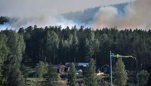 Mi&scaron;kų gaisrai &Scaron;vedijoje