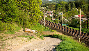 Markučiai