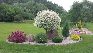 Konkurso &bdquo;Mano kiemas&ldquo; dalyvių Sasnauskų sodyba
