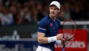 Andy Murray prieš Johną Isnerį