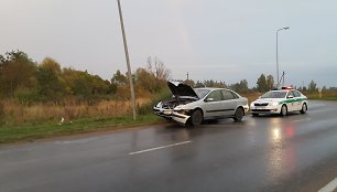 Tauragės grybautojų kelionė baigėsi trenksmu į stulpą.