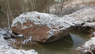 Skuodo rajone, Juknaičių kaime, visai šalia legendinės Apuolės, iš žemių iškastas gigantiškas akmuo. Ilgus metus vietos gyventojai apie tūnantį milžiną galėjo spėti tik matydami dalį jo silueto krūmynuose.