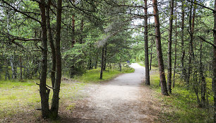 Naglių rezervatas smalsuoliams kainuoja 2 eurus.