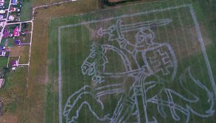 Panevėžyje, Stetiškių aerodrome nupieštas Lietuvos herbas Vytis