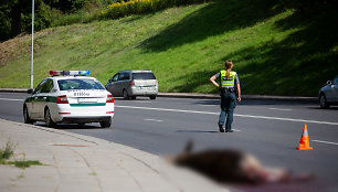 Dunojaus gatvėje nutrenktas į kelią išbėgęs briedis