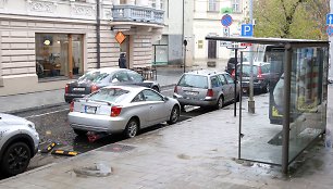 Viešojo transporto stotelė Islandijos gatvėje 