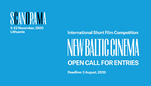 New Baltic Cinema call for entries