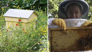 Jennifer Garner Los Andžele augina septynias bičių šeimas ir gardina maistą tik savo medumi