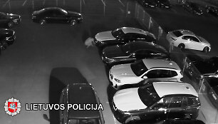 Du vyrai įkliuvo už tai, kad i&scaron; automobilių BMW lupo brangias detales.