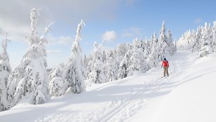 Slidinėjimas Čekijoje