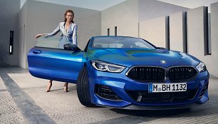 BMW 8 serija