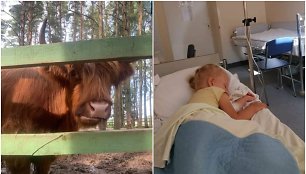 Raguočio sužeista dvimetė atsidūrė Klaipėdos vaikų ligoninėje