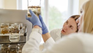 Klaipėdos universiteto mokslininkų sukurta biotechnologija jau turi ES patentą
