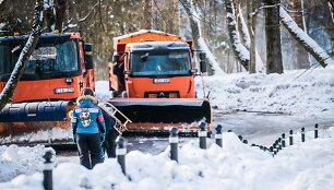 Žvarbi ir saulėta diena kviečia į gamtą