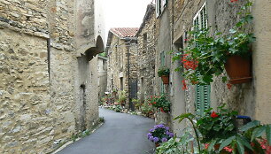 Cenova