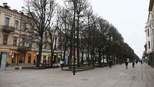 Laisvės alėja