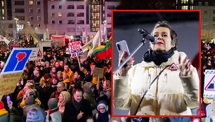 Nomeda Marčėnaitė trečiadienio proteste &bdquo;&Scaron;alin rankas nuo laisvo žodžio!&ldquo;