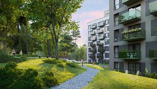 Bajorų lajų II etapo vizualizacija 