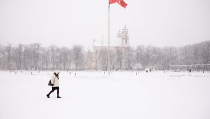 Vilnių užklojęs gausus sniegas