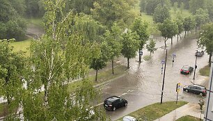 Liūtis skandina Alytų