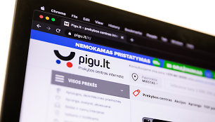 Pigu.lt internetinis puslapis