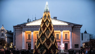 Kalėdų eglė sostinės Rotušės aikštėje